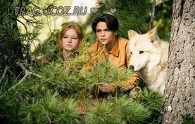 Бесплатно Торрент Дети леса 2 (2026)