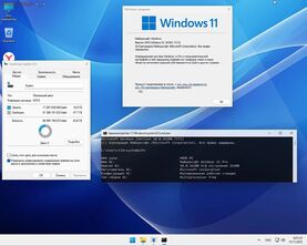 Бесплатно Торрент Windows 11 Pro 25H2 Build 26200.7171