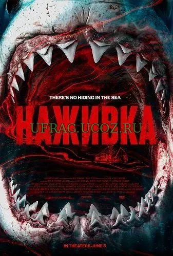 Наживка (2026) скачать торрент Наживка (2026) скачать торрент
